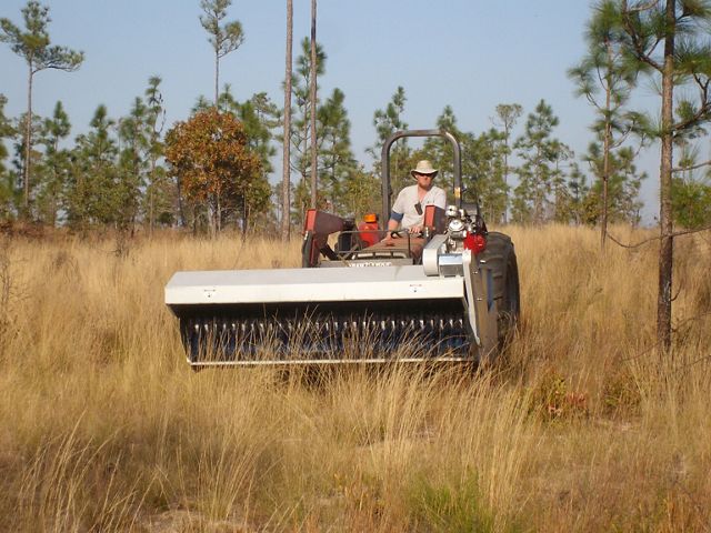 A tractor is used to collect native groundcover seed mix for future planting at Apalachicola Bluffs and Ravines Preserve.