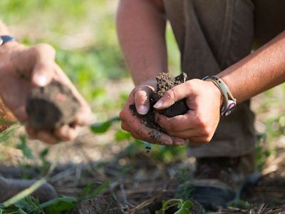 Sarah and Benoit Delbecq practice farming techniques that help safeguard soil and water.