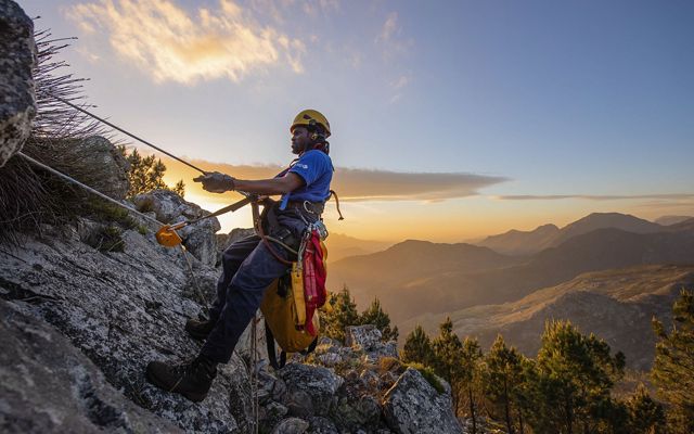 a worker propels down a mountain side to trim trees.