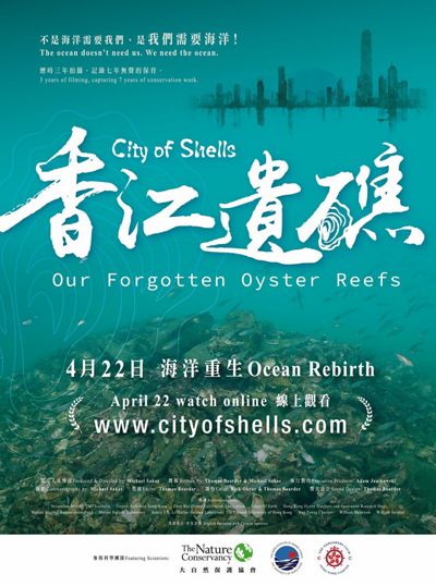 Our Forgotten Oyster Reefs